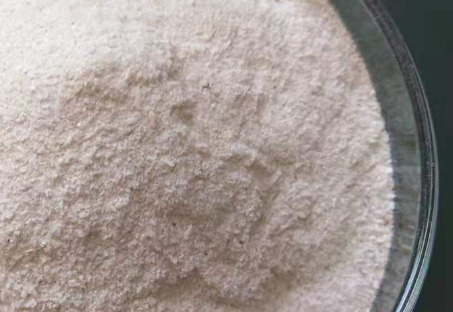 微生物菌剂检测